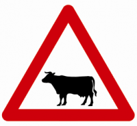 Indicator rutier  Animale