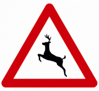 Indicator rutier  Animale 2